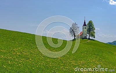 Slovenian countryside in spring with charming little church on a hill and blooming dandelions and daffodils wildflowers. Sunny Stock Photo