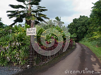 Slow down sign on narrow road Stock Photo