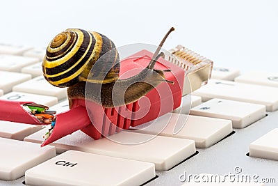 Slow internet access Stock Photo