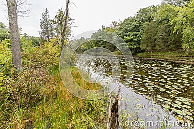 Slow Meandering River Channel in Late Summer - Ontario, Canada Stock Photo