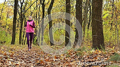 Slow Motion Running - Woman Runner Jogging On Autumn Forest Path. Fit ...