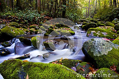 Slow moving stream in fall Stock Photo