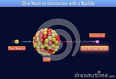 Slow Neutron Interaction with a Nuclide Cartoon Illustration