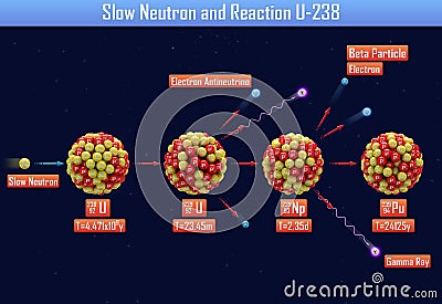 Slow Neutron and Reaction U-238 Cartoon Illustration