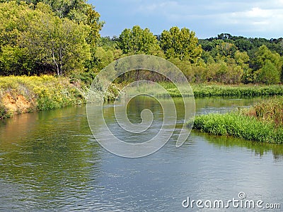 Slow River in Meadow with Trees Stock Photo