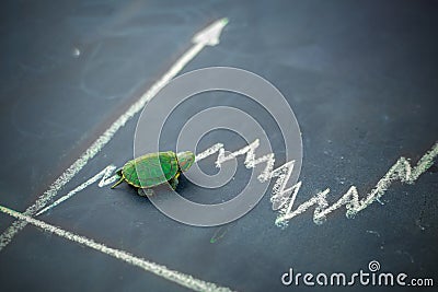 Slow but stable investment or low fluctuate stock market concept, miniature figure turtle or tortoise walking on chalkboard with Stock Photo