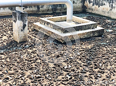 Sludge treatment in wastewater management system, flowing brown smelly liquid and drying in sludge bed, made it for fertilization Stock Photo