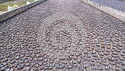 Sludge of Waste water treatment plant in sri lanka Stock Photo