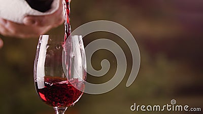 Sluit omhoog mannelijke hand die rode wijn in glas van flessen langzame motie gieten stock video Sluit omhoog mannelijke hand die rode wijn in glas van flessen langzame motie gieten stock video