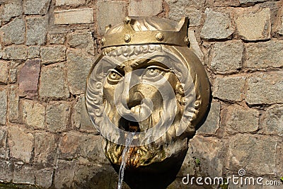 Small architectural form of the fountain head of the king Stock Photo