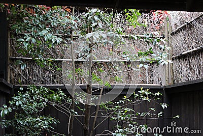 A small asian style zen garden Stock Photo