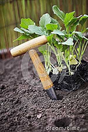 Small augur for making holes in the earth Stock Photo