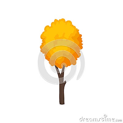 Small autumn tree with yellow-orange leaves. Young forest plant. Nature theme. Flat vector icon Vector Illustration