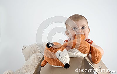 Small baby girl in a box with teddies Stock Photo
