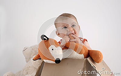 Small baby girl in a box with teddies Stock Photo