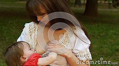 400px x 225px - Small Baby Sucks Milk from His Mom Breast. Mom is Breastfeeding Child  Sitting on Park Bench and Smiling Stock Video - Video of recreation,  people: 127492535