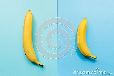 Small Banana compare size wish banana on blue background. Sexual life libido penis size and potency concept. Stock Photo