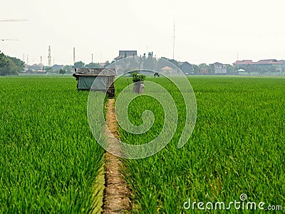 Small Barn Stock Photo