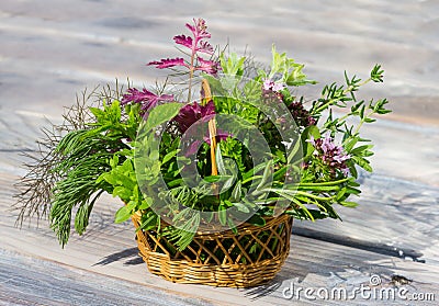 A small basket with healing herbs. Stock Photo