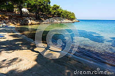 Small beach shaded by trees Stock Photo