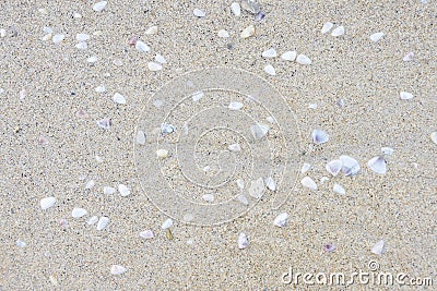 Small seashells. Bright sand. Beach Stock Photo