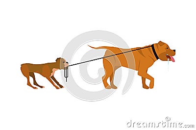 Small and big dogs Vector Illustration