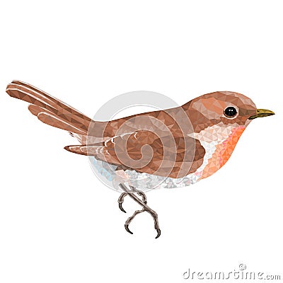 Small bird warbler Sylvia curruca low-polygon vector illustration editable hand draw Vector Illustration