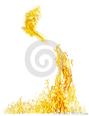 Small bird flying from high yellow flame Stock Photo