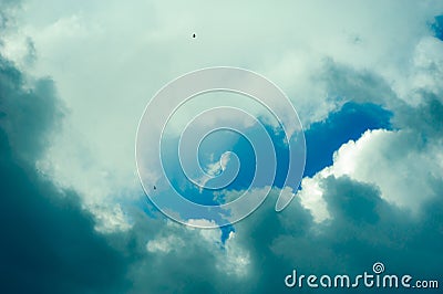 Bird silhouettes against a cloudy sky Stock Photo