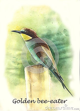 A small bird sitting on a branch Cartoon Illustration