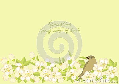 Small birds and spring blossoming branches Vector Illustration