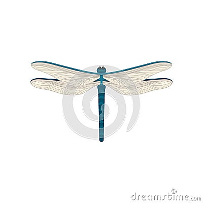 Small blue dragonfly with two pairs of large transparent wings. Flying insect. Flat vector design Vector Illustration