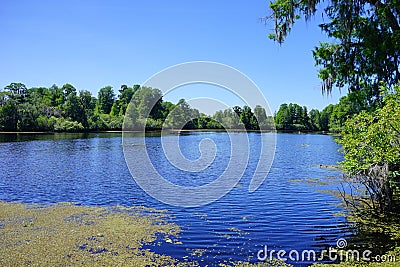 A small blue lake and tree Stock Photo