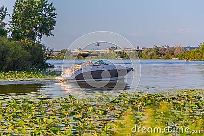 A small boat sandwiched between carpets of lotus flower and lily pads on Carter Lake Iowa Editorial Stock Photo