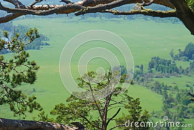 Small Bor tract, Khakassia Stock Photo