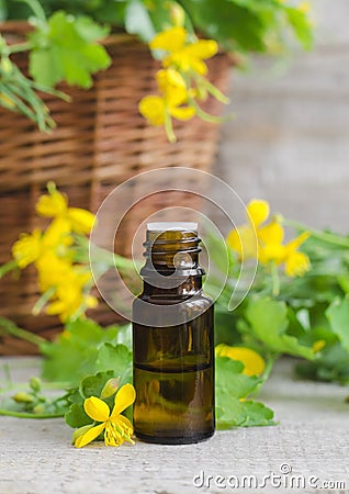 Small bottle of celandine infusion Stock Photo