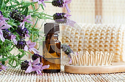 Small bottle with essential lavender oil and wooden hair brush. Lavandula flowers close up. Aromatherapy, spa, natural hair care Stock Photo