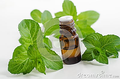 Small bottle with essential peppermint oil. Fresh mint leaves close up. Aromatherapy, spa and herbal medicine ingredients. Stock Photo