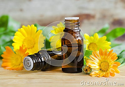 Small bottles of calendula oil (extract, tincture, infusion) Stock Photo