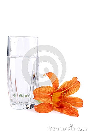 Small bouquet Stock Photo