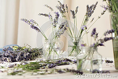 Small bouquet of fresh lavender in jars with water Stock Photo