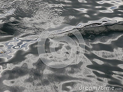 Small breaking wave photographed from above showing subtle greys and blues Stock Photo