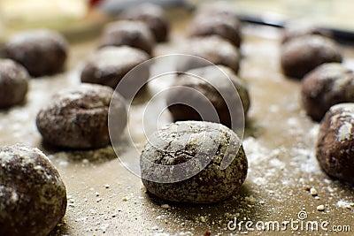 Small brown chocolate gingerbread cookies lay on a baking sheet sprinkled with powdered sugar Stock Photo