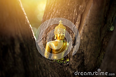 Small buddha statue gold color bright inside the wood Stock Photo