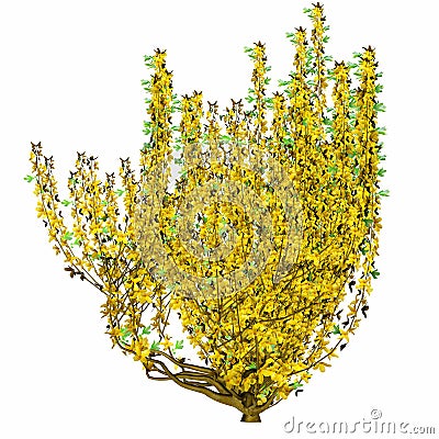 Small bush blooming with yellow flowers - 3D render Stock Photo