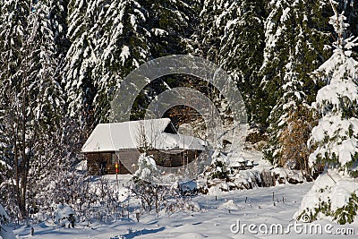 Small cabin covered with fresh snow Stock Photo