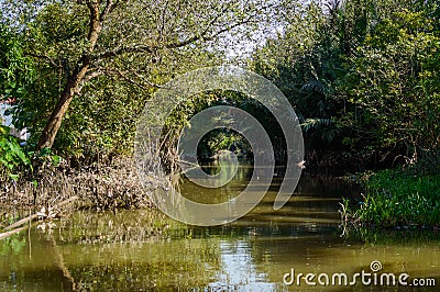 Small canal in Mekong Delta. Stock Photo