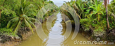 Small canal in Mekong Delta. Stock Photo