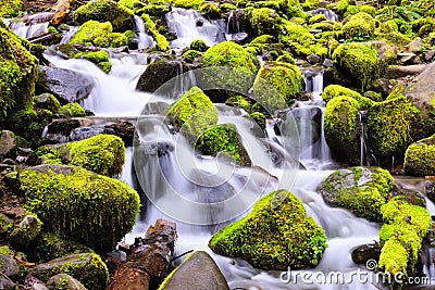 Small cascade over mossy rocks, Olympic National Park, Washington, USA Stock Photo