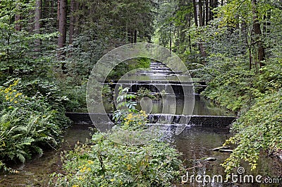 Small cascade water river in the forest nature photo Stock Photo